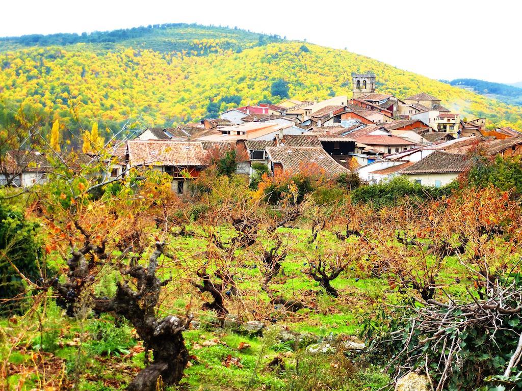 Gasthaus Jardines Del Robledo-Albar San Miguel del Robledo Exterior foto